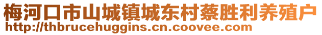 梅河口市山城鎮城東村蔡勝利養殖戶