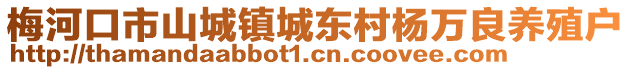 梅河口市山城鎮城東村楊萬良養殖戶