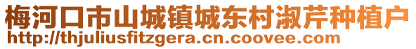梅河口市山城鎮城東村淑芹種植戶