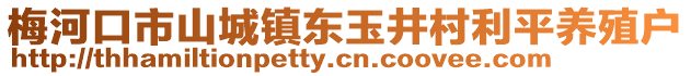 梅河口市山城鎮東玉井村利平養殖戶