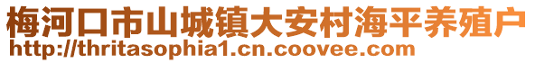 梅河口市山城鎮大安村海平養殖戶