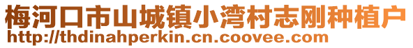 梅河口市山城鎮小灣村志剛種植戶