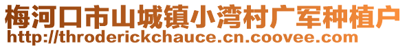 梅河口市山城鎮(zhèn)小灣村廣軍種植戶