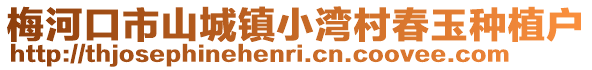 梅河口市山城鎮小灣村春玉種植戶