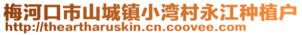 梅河口市山城鎮小灣村永江種植戶