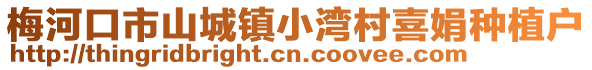梅河口市山城鎮(zhèn)小灣村喜娟種植戶
