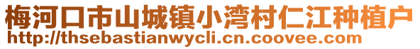 梅河口市山城鎮小灣村仁江種植戶