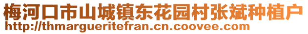梅河口市山城鎮東花園村張斌種植戶