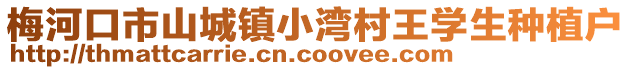 梅河口市山城鎮(zhèn)小灣村王學(xué)生種植戶