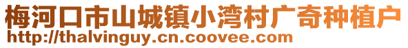 梅河口市山城鎮(zhèn)小灣村廣奇種植戶