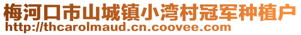 梅河口市山城鎮小灣村冠軍種植戶