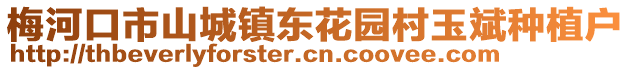 梅河口市山城鎮(zhèn)東花園村玉斌種植戶