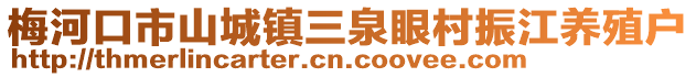梅河口市山城鎮三泉眼村振江養殖戶
