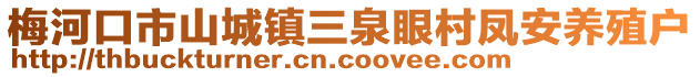 梅河口市山城鎮三泉眼村鳳安養殖戶