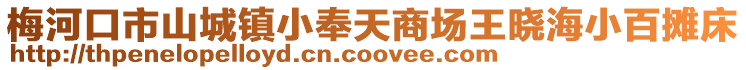 梅河口市山城鎮小奉天商場王曉海小百攤床