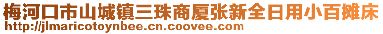 梅河口市山城鎮三珠商廈張新全日用小百攤床