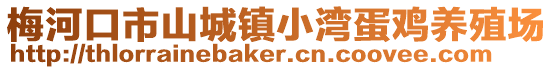 梅河口市山城鎮小灣蛋雞養殖場