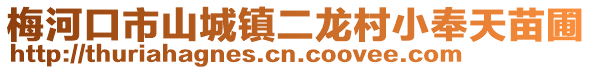 梅河口市山城鎮二龍村小奉天苗圃