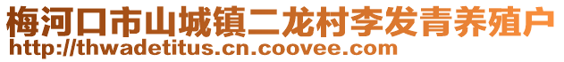 梅河口市山城鎮二龍村李發青養殖戶