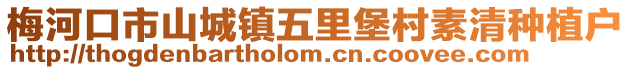 梅河口市山城鎮五里堡村素清種植戶