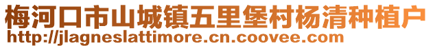 梅河口市山城鎮五里堡村楊清種植戶