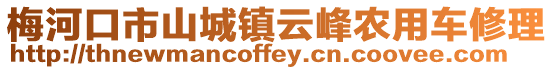 梅河口市山城鎮云峰農用車修理