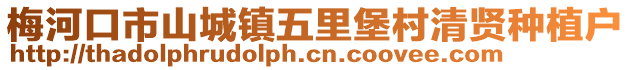梅河口市山城鎮(zhèn)五里堡村清賢種植戶