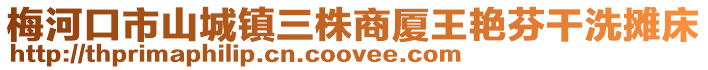 梅河口市山城鎮(zhèn)三株商廈王艷芬干洗攤床
