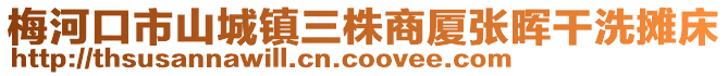 梅河口市山城鎮(zhèn)三株商廈張暉干洗攤床