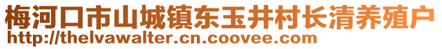 梅河口市山城鎮東玉井村長清養殖戶