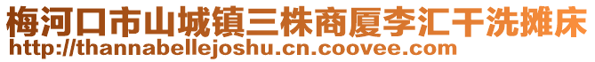 梅河口市山城鎮(zhèn)三株商廈李匯干洗攤床