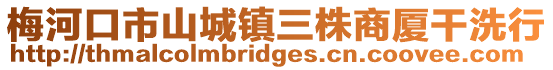 梅河口市山城鎮(zhèn)三株商廈干洗行