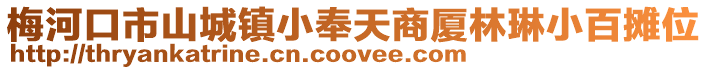 梅河口市山城鎮小奉天商廈林琳小百攤位