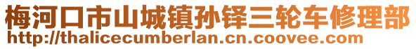 梅河口市山城鎮孫鐸三輪車修理部