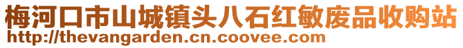 梅河口市山城鎮頭八石紅敏廢品收購站