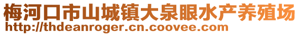 梅河口市山城鎮大泉眼水產養殖場