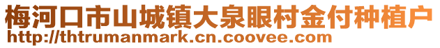 梅河口市山城鎮大泉眼村金付種植戶