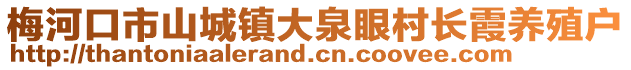 梅河口市山城鎮大泉眼村長霞養殖戶
