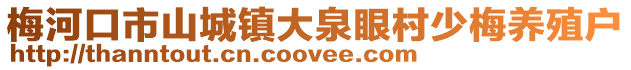 梅河口市山城鎮大泉眼村少梅養殖戶