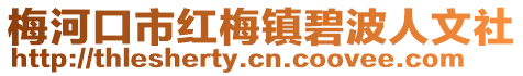 梅河口市紅梅鎮碧波人文社