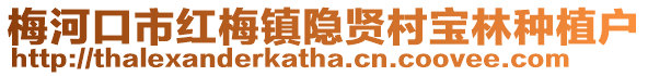 梅河口市紅梅鎮(zhèn)隱賢村寶林種植戶