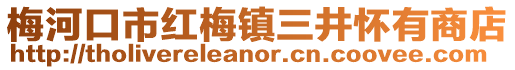梅河口市紅梅鎮三井懷有商店