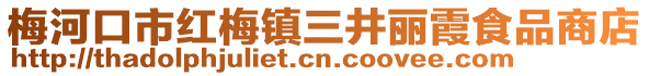 梅河口市紅梅鎮三井麗霞食品商店
