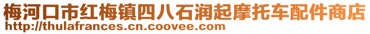 梅河口市紅梅鎮四八石潤起摩托車配件商店