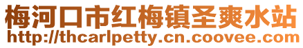 梅河口市紅梅鎮(zhèn)圣爽水站