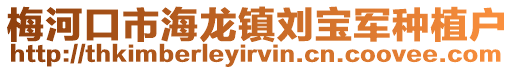 梅河口市海龍鎮劉寶軍種植戶