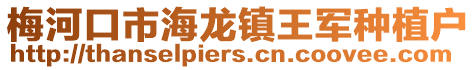 梅河口市海龍鎮(zhèn)王軍種植戶