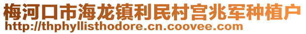 梅河口市海龍鎮利民村宮兆軍種植戶