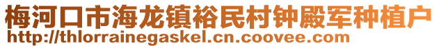 梅河口市海龍鎮裕民村鐘殿軍種植戶