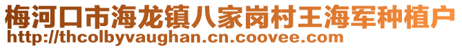 梅河口市海龍鎮八家崗村王海軍種植戶